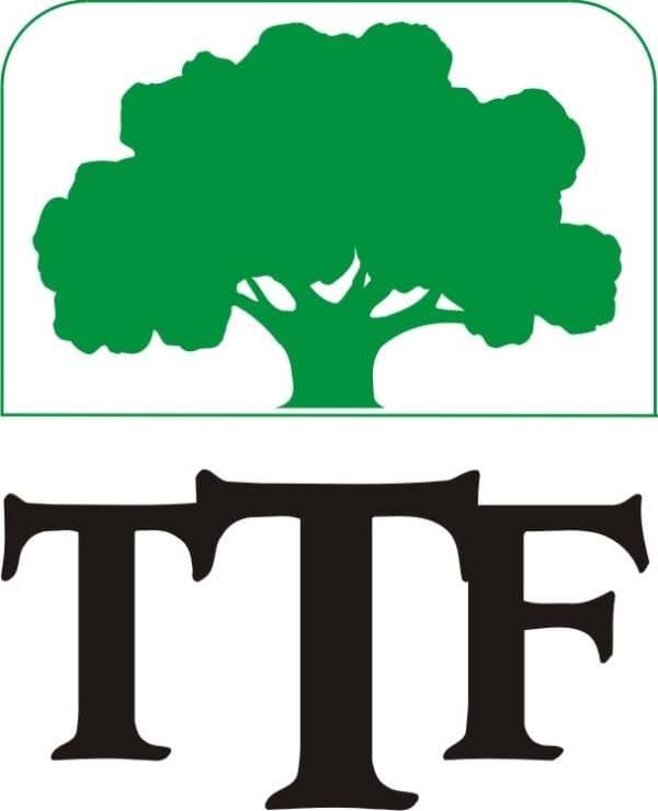 The Temiskaming Foundation logo